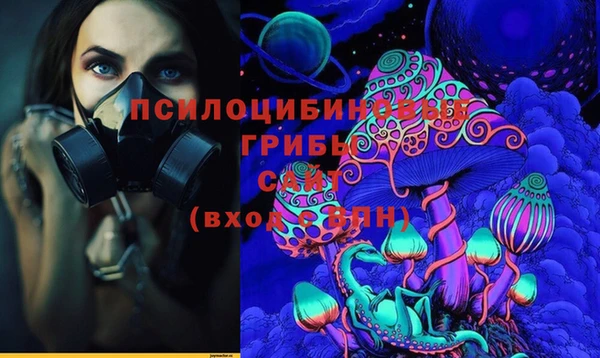 дурь Алзамай